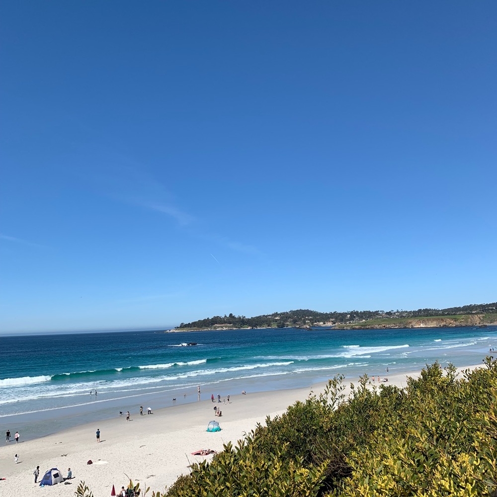 Meet your Posher, Jason